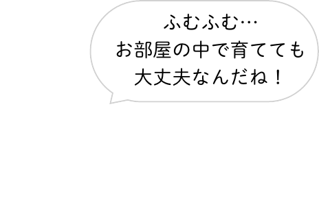 ふむふむ… お部屋の中で育てても大丈夫なんだね！