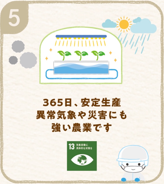 5 365日、安定生産 異常気象や災害にも強い農業です